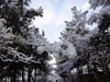 Previous picture :: Wallpaper - Quetta Snowfall January 2012 (13) - 4608 x 3456